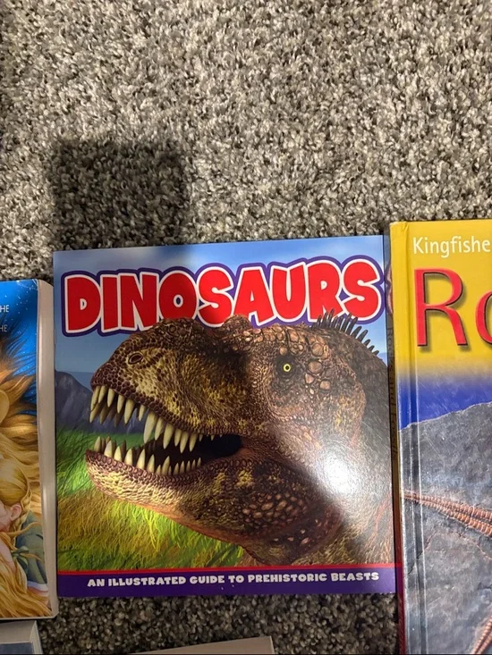 Book Bundle ! - Picture 3 of 14